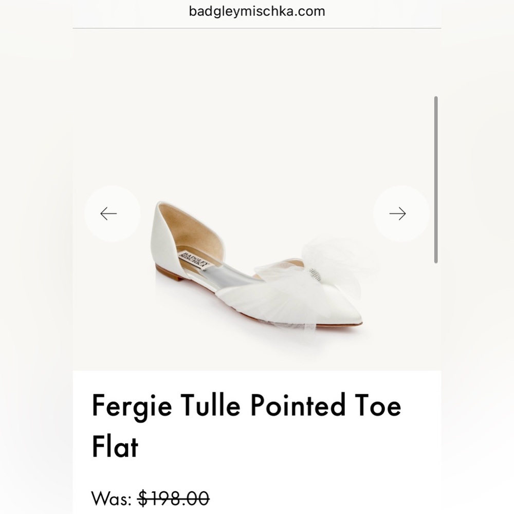 Badgley Mischka Ivory Tulle Pointed Flats